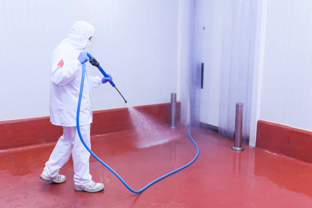 Best Dumpster Area Cleaning  in Van Wert, OH